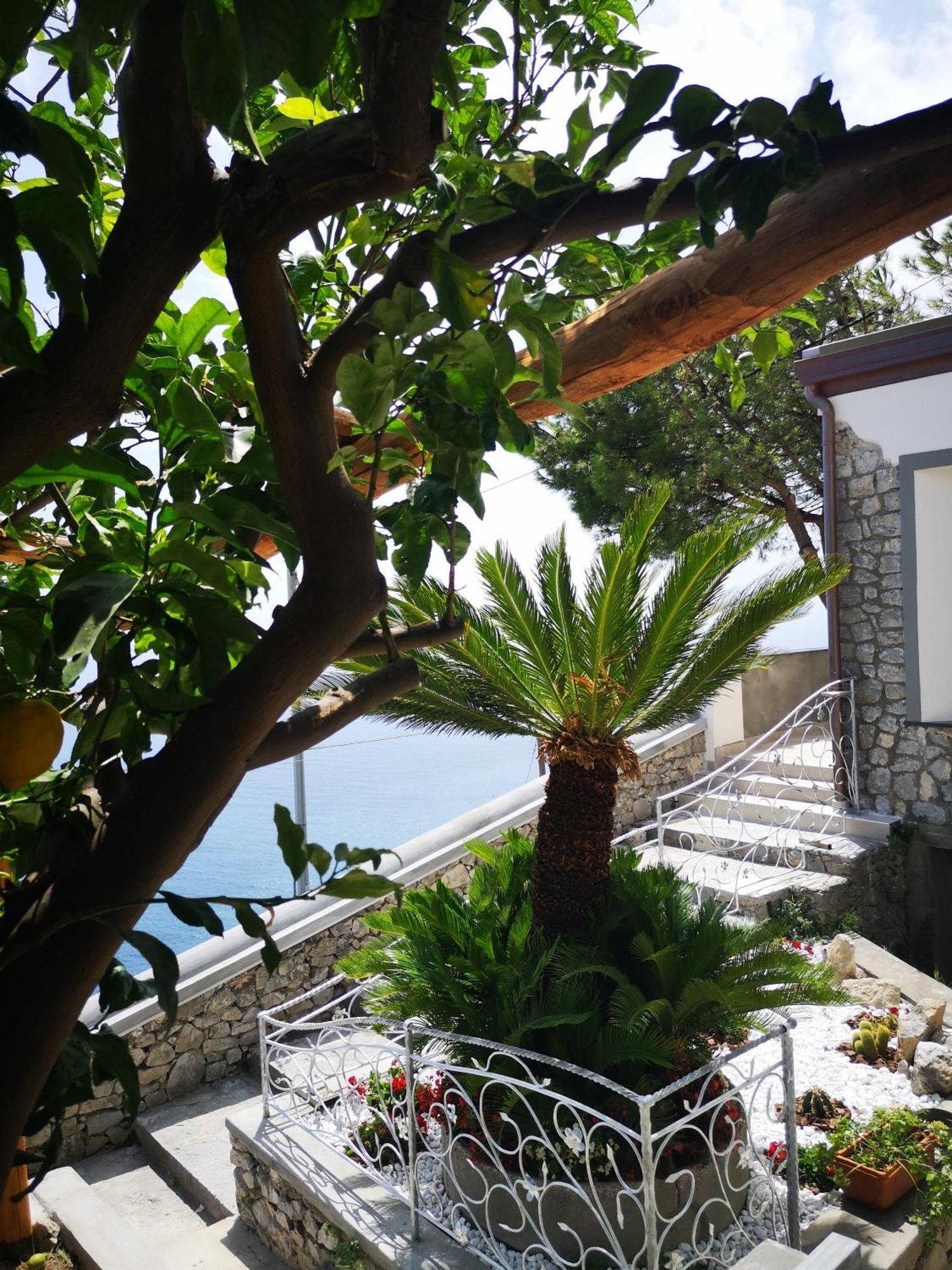 Villa Furoris Apartment Furore Exteriér fotografie