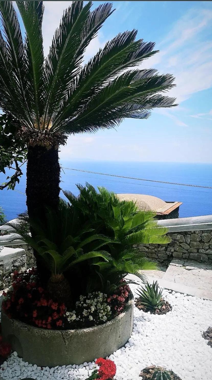 Villa Furoris Apartment Furore Exteriér fotografie
